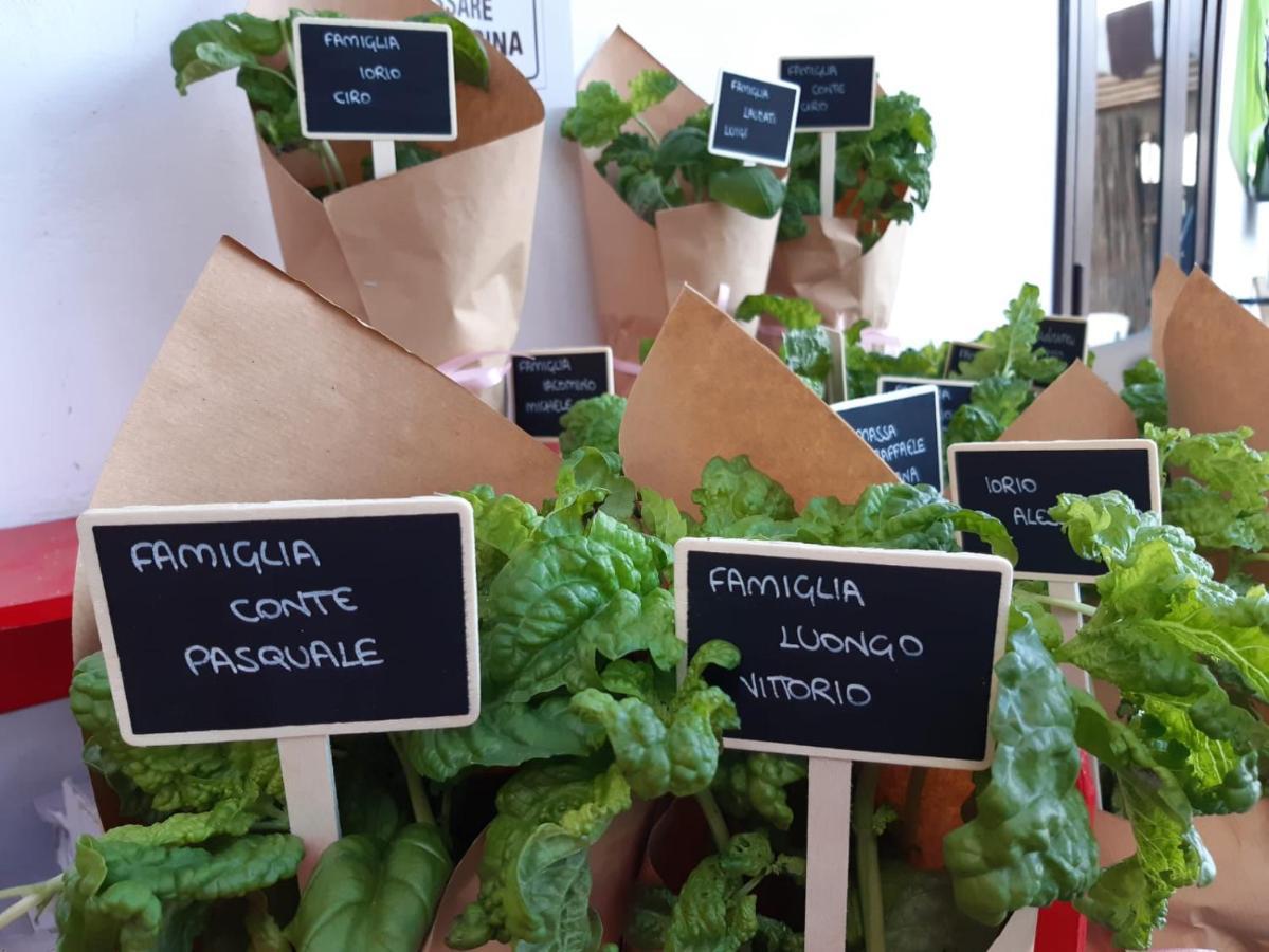 Agriturismo Il Pettirosso Agerola Bagian luar foto